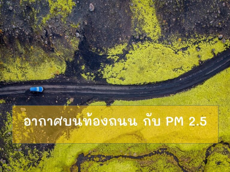 Read more about the article อากาศบนท้องถนน กับ PM 2.5